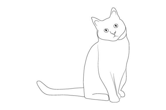 Cat Vector Line Art Illustration Design Review