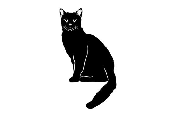 Silhouette Animal Cat Graphic Isolated Review