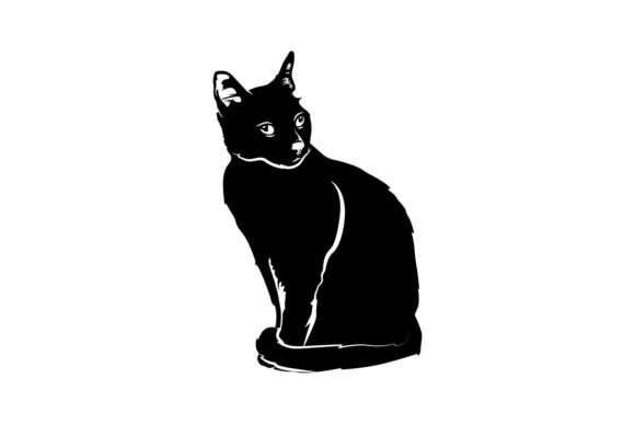Silhouette Animal Cat Illustration Isola Review